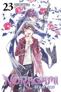 bokomslag Noragami: Stray God 23