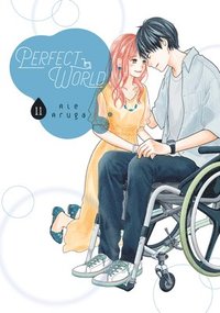 bokomslag Perfect World 11