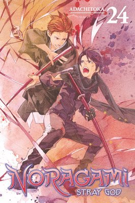 bokomslag Noragami: Stray God 24