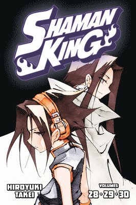 bokomslag SHAMAN KING Omnibus 10 (Vol. 28-30)