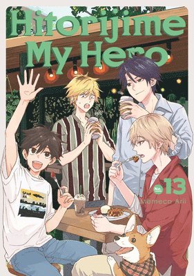 bokomslag Hitorijime My Hero 13