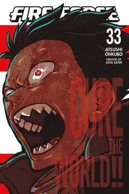 Fire Force 33 1