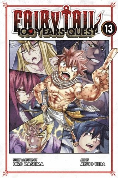 bokomslag FAIRY TAIL: 100 Years Quest 13