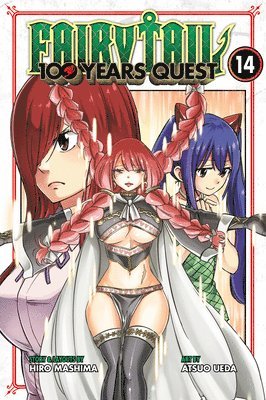 bokomslag FAIRY TAIL: 100 Years Quest 14