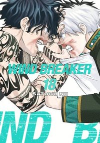 bokomslag Wind Breaker 18