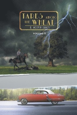 bokomslag Tares Among the Wheat Volume Two