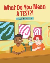 bokomslag What Do You Mean A Test