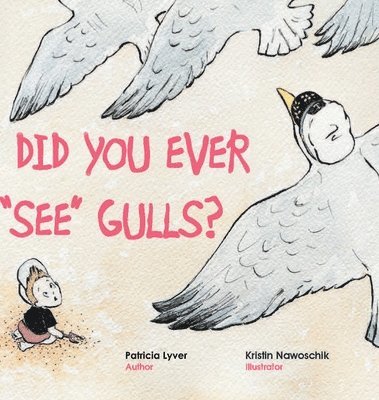 Did You Ever &quot;See&quot; Gulls? 1