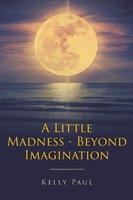 bokomslag A Little Madness- Beyond Imagination