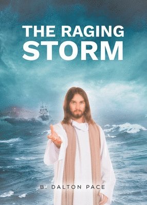 bokomslag The Raging Storm