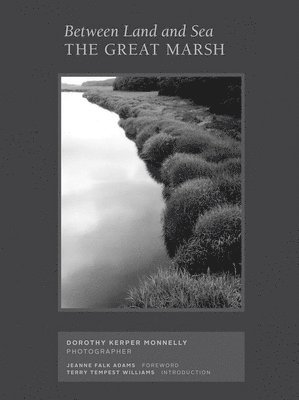 Between Land and Sea: The Great Marsh 1