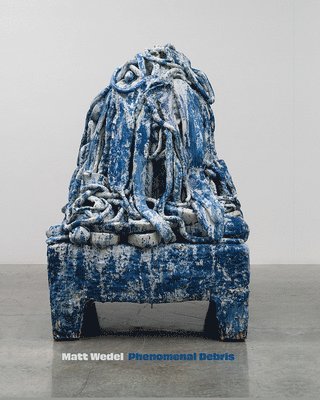 Diane C. Wright, Diane C Wright - Matt Wedel: Phenomenal Debris, Inbunden