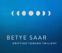 bokomslag Betye Saar: Drifting Toward Twilight