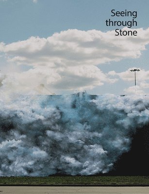 Gina Dent, Lauren Schell Dickens, Rachel Nelson - Seeing through Stone, Häftad