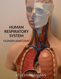 bokomslag Human Respiratory System