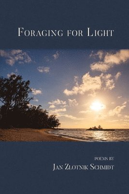 Jan Zlotnik Schmidt - Foraging for Light, Häftad