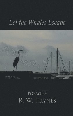 Let the Whales Escape