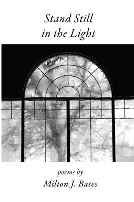 Milton J Bates - Stand Still in the Light, Häftad