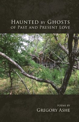 Gregory Ashe - Haunted by Ghosts of Past and Present Love, Häftad