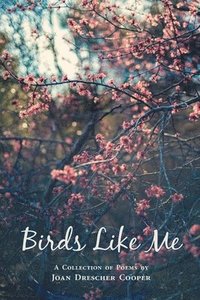 bokomslag Birds Like Me