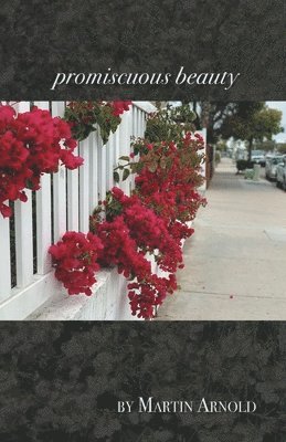 Martin Arnold - promiscuous beauty, Häftad