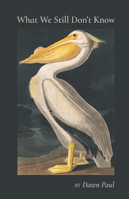 What We Still Don't Know