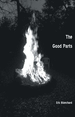 bokomslag Good Parts