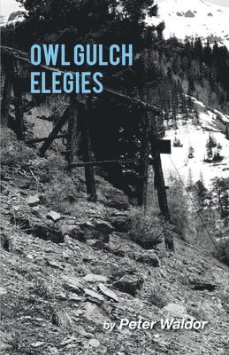 Owl Gulch Elegies 1