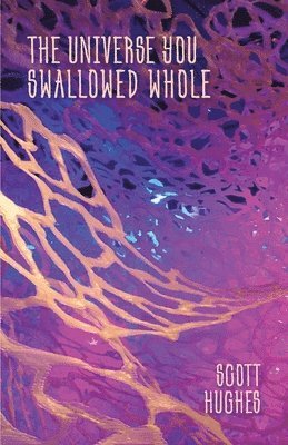 Scott Hughes - Universe You Swallowed Whole, Häftad