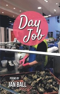 bokomslag Day Job