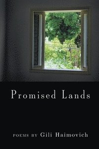 bokomslag Promised Lands