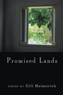 bokomslag Promised Lands