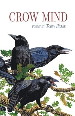 Crow Mind 1