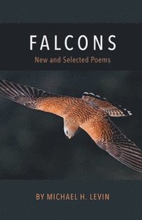 bokomslag Falcons