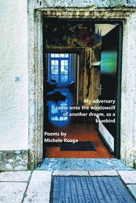 Michele Rozga - My adversary came onto the windowsill of another dream, as a bluebird, Häftad
