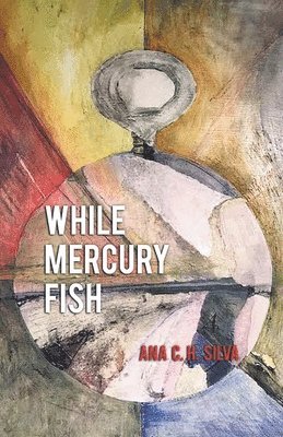 bokomslag While Mercury Fish