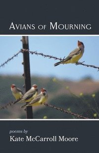 bokomslag Avians of Mourning