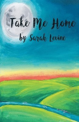 Sarah Levine - Take Me Home, Häftad