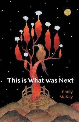 Emily McKay, Emily Mckay - This is What was Next, Häftad