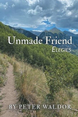 bokomslag Unmade Friend - Elegies