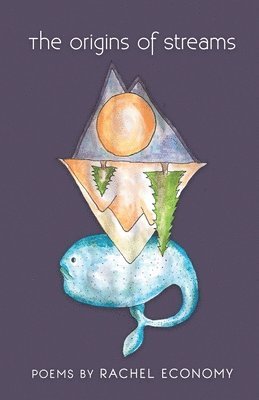 Rachel Economy - Origins of Streams, Häftad