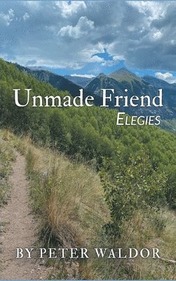 bokomslag Unmade Friend - Elegies