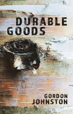 bokomslag Durable Goods