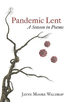 Pandemic Lent 1