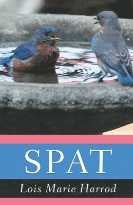 Spat 1