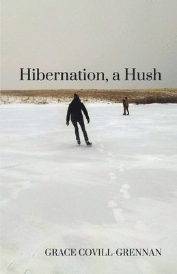 Hibernation, a Hush 1