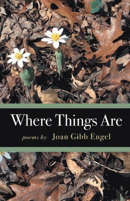 Joan Engel - Where Things Are, Häftad