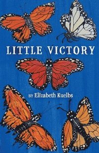 bokomslag Little Victory
