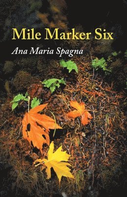 Mile Marker Six