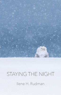 bokomslag Staying The Night